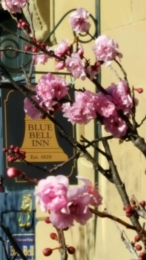 Blue Bell Inn Sorell Exterior foto